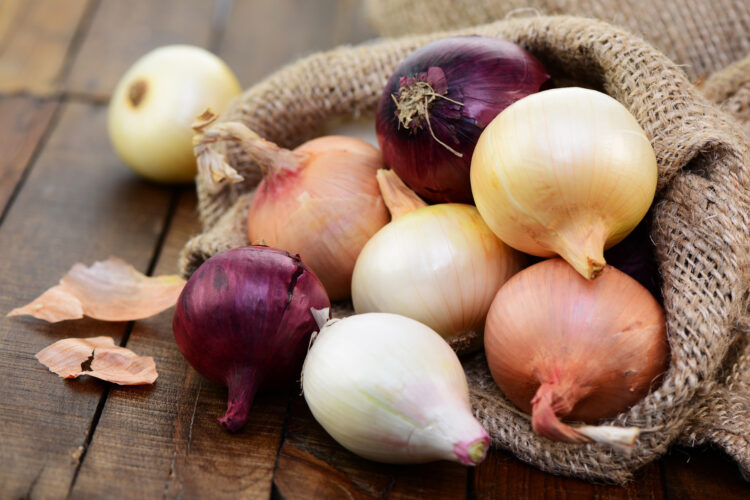 How to Grow Onions from Seeds