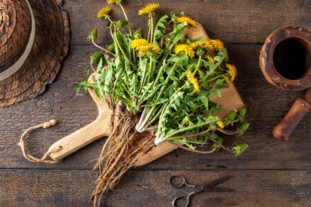 Homemade Dandelion Beer Recipe Image