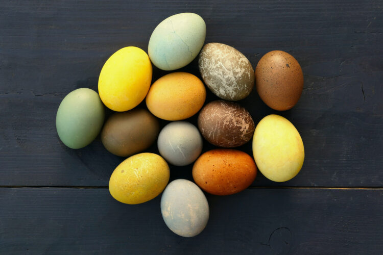 Natural Dyes For Easter Eggs Image