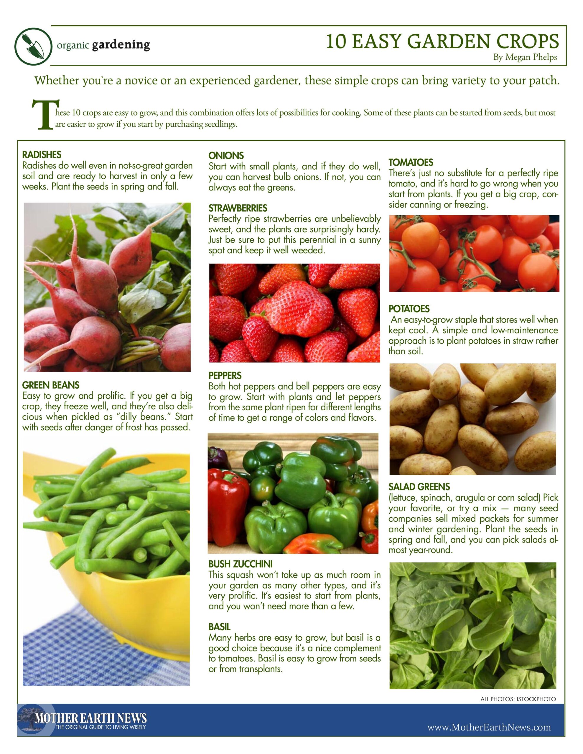 10 Easy Garden Crops