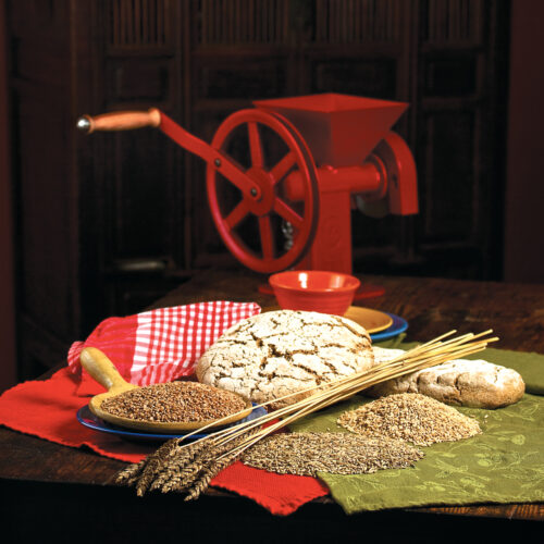 Old World Bread Recipe With Wheat, Rye and Barley