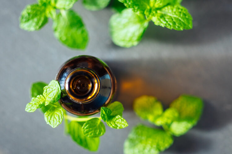 Peppermint DIY Foot Spray
