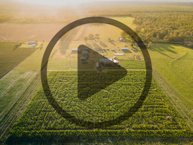 How to Start an Agritourism Business to Diversify Farm Income