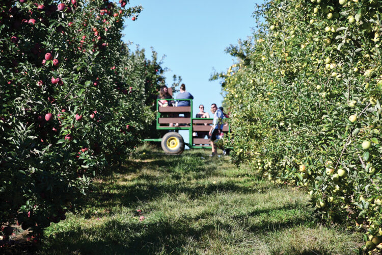 Apples: One of America's Most Sustainable Crops