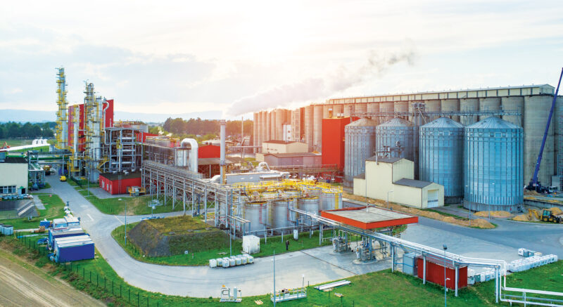 Biofuels: Pros and Cons for the Energy Transition