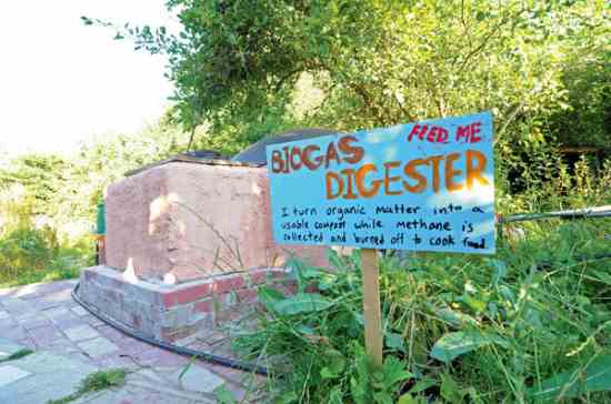 Home Cookin' With Homemade Biogas Energy