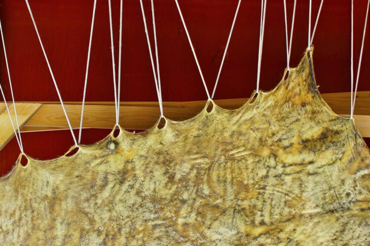 How to Tan a Hide Naturally