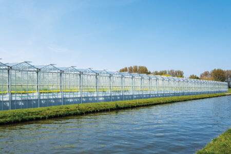 Innovative Greenhouse Technologies for the Future Image