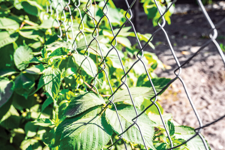 Does Galvanized Steel Contain Lead?