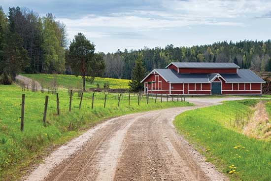 Flexible Solar Panels for Any Roof