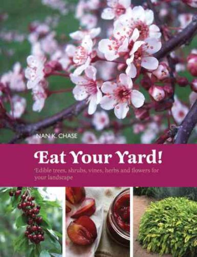 Edible Roses: Beautiful and Delicious Garden Features