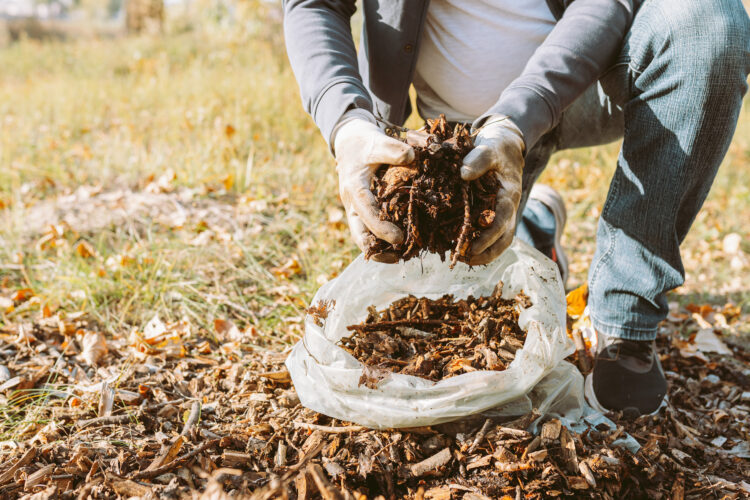 The Benefits of Mulching in Fall