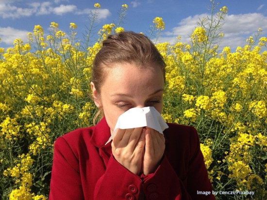Pollen's Perils and Promises: What Allergens and Flower Essence Teach Us During Pandemics