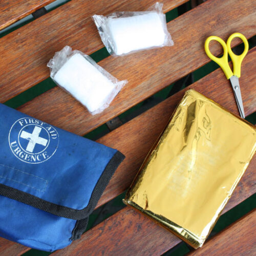 Homestead Uses for Mylar Blankets