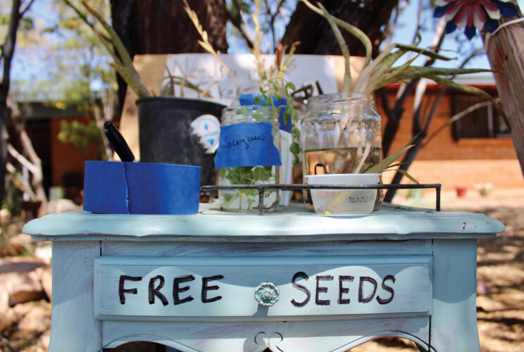 The Free Plant N Garden Stand: A Community Initiative