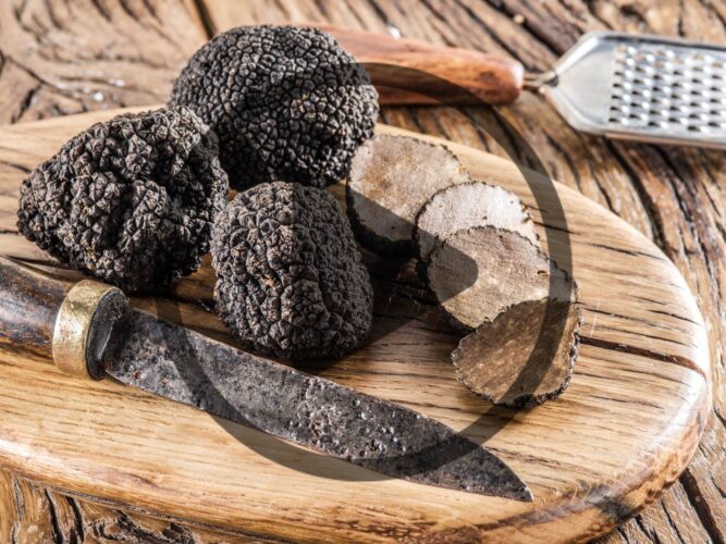 Where to Find Truffles — And Why Are They So Expensive?