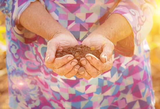 Green World Path Launches Sustainable Farming Products