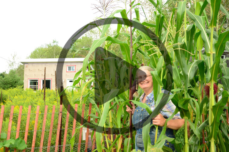 How to Build a Cabin House for Self-Sufficient Homesteading