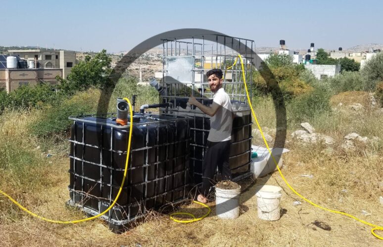 How to Make Biogas at Home with a Biogas Digester