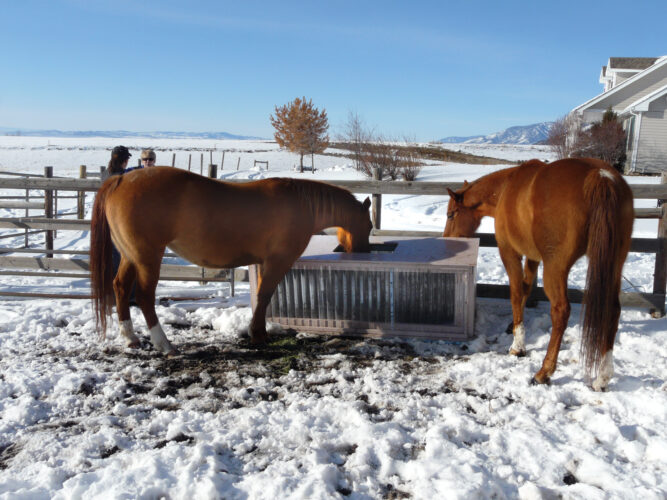 DIY Insulated Stock Tank