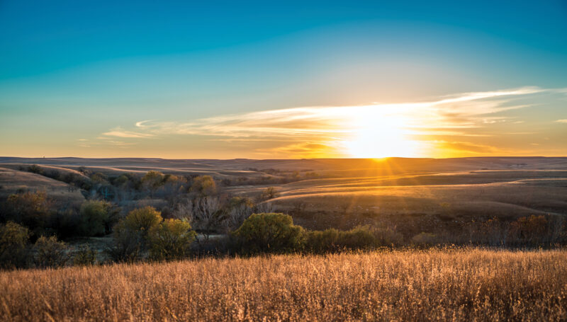 How to Start Homesteading: Planning the Plan