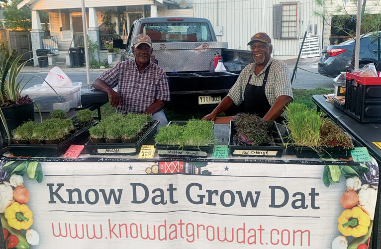 African-American Food Culture: Community Nourishment & Knowledge