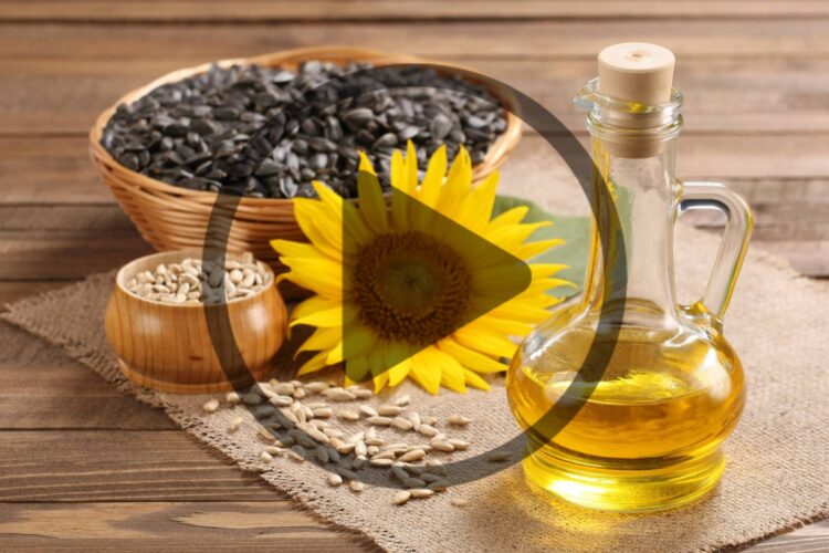 Make Your Own Seed and Nut Oils