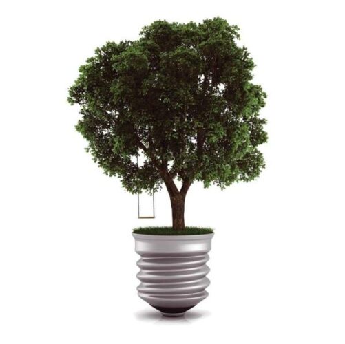 Cleaner Energy From Advanced Wood Combustion Technology