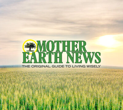 Ethanol Group Petitions EPA to Raise Blend Levels in Gasoline