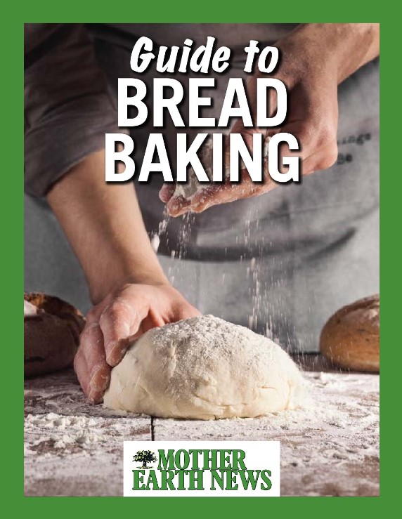 Bread Recipes