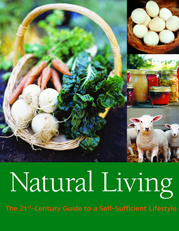 Raising Geese: The Basics