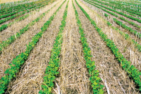 Low-Till Farming with Technology Image