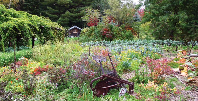 Vegetable Perennial Plants List