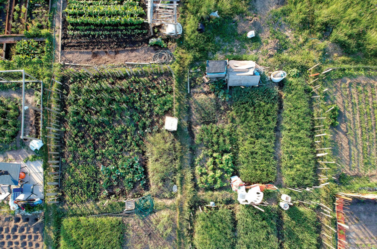 Permaculture Planning