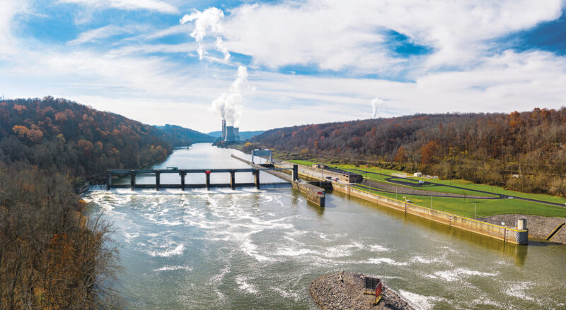 What Does the EPA Do Now and South American Palm Weevil Solutions