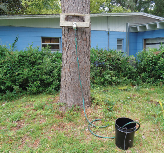 Build a DIY Rainwater Shower With Off-Grid Solar Water Heater