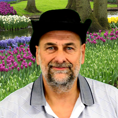 Robert Pavlis