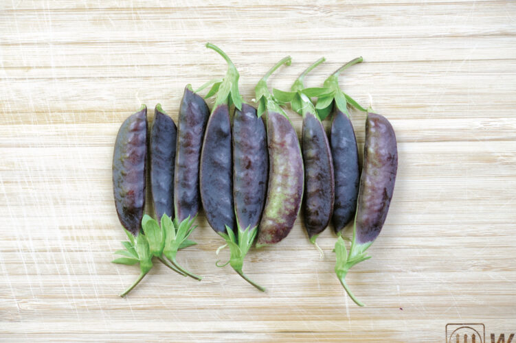 Sourcing Open Pollinated Vs Heirloom Seeds