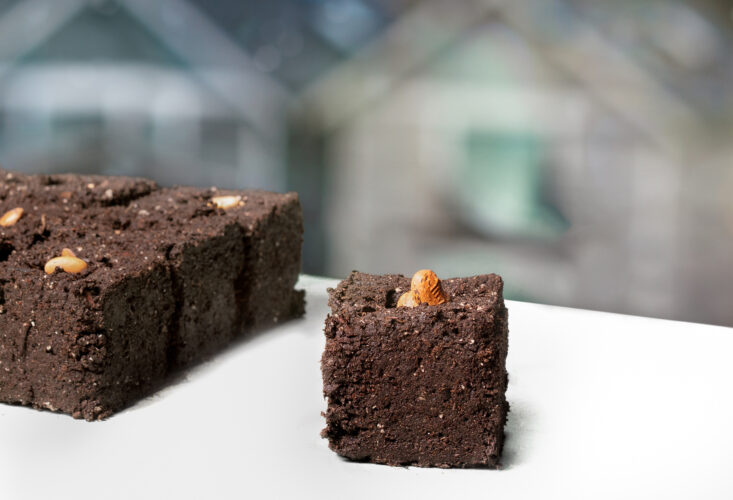 Soil Block Recipe for Sustainable Seed Starting