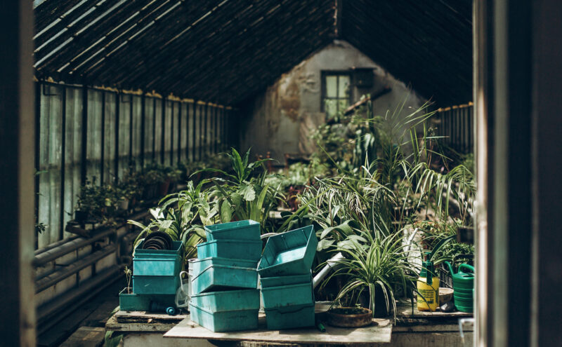 How to Design a Year-Round Solar Greenhouse