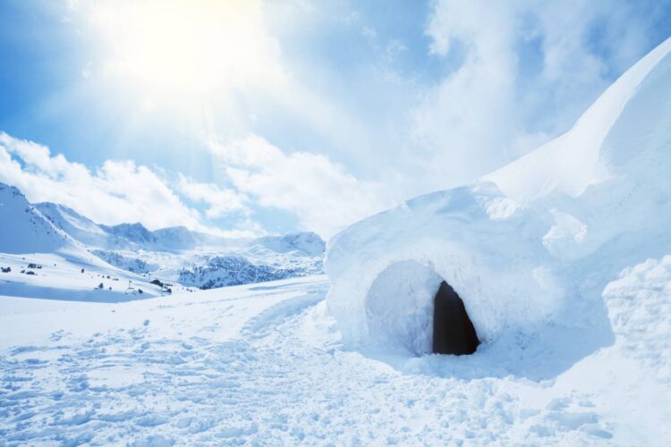 How to Build a Winter Shelter