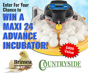 Brinsea Maxi Incubator Giveaway