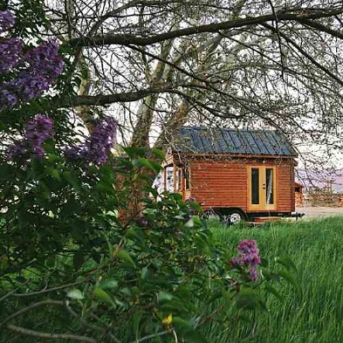 Living the Tiny Home Life: An Interview With Tammy Strobel