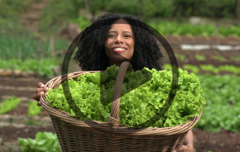 Urban Farming & Selling Microgreens